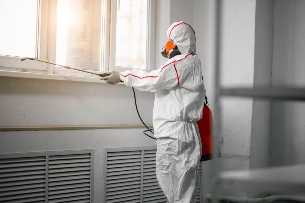 Professional mold remediation services in Beryl, UT